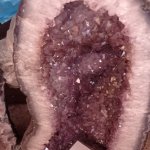 phoca_thumb_m_tropic zajici 26 Fotogalerie